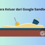 Apa Itu Google Sandbox dan 5 Cara Keluar dari Google Sandbox